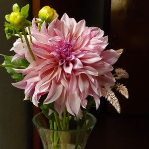 Meet your Posher, Posh